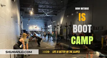 Unveiling Boot Camp Intensity: A Deep Dive into the Demanding Experience