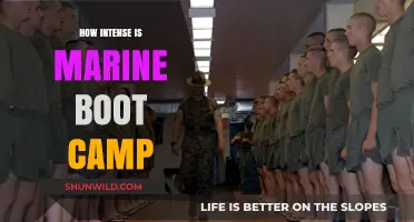 Marine Boot Camp Intensity: Unveiling the Rigorous Physical and Mental Challenge