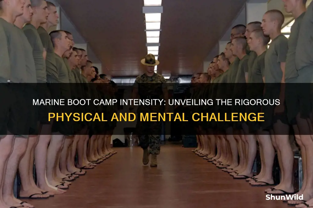 how intense is marine boot camp