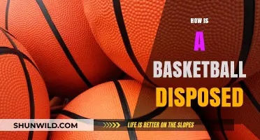 Dribbling, Passing, and Shooting: Disposing of the Basketball