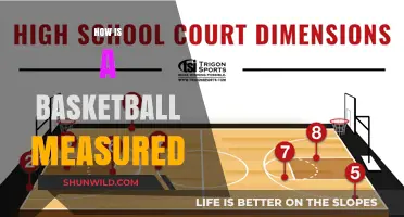 Measuring Basketballs: Sizing Up the Game