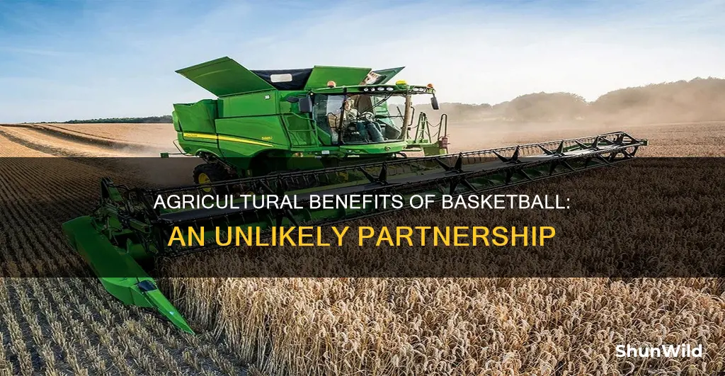 how is a basketball part of ag
