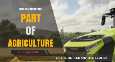 Basketballs: An Unexpected Part of Agriculture