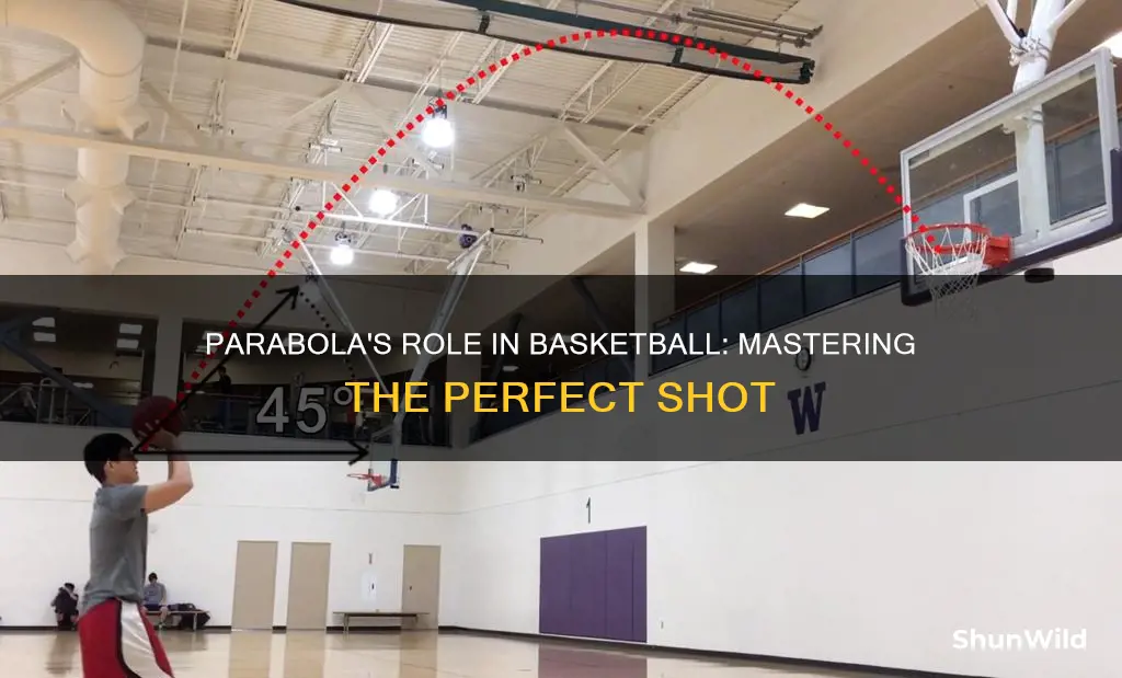 how is a parabola used in basketball