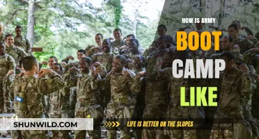 Army Boot Camp Unveiled: Rigor, Discipline, and Transformation Explained