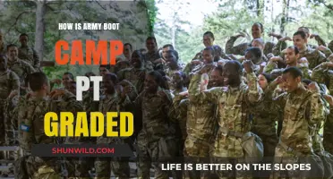 Army Boot Camp PT Grading: Standards, Tests, and Evaluation Explained
