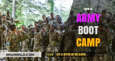 Army Boot Camp: Unveiling the Rigorous Journey to Military Excellence
