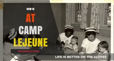 Life at Camp Lejeune: Insights, Experiences, and Community Stories
