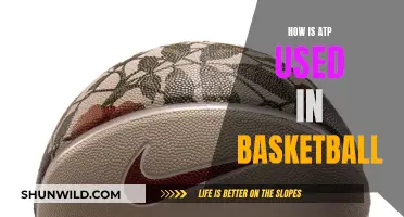 ATP in Basketball: Energy for Performance