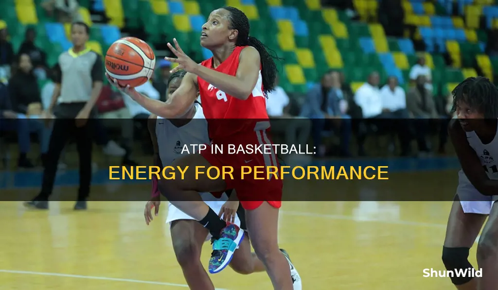 how is atp used in basketball