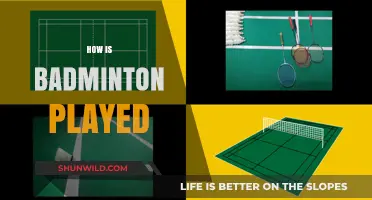 Badminton Basics: Rules, Shots, and Strategies