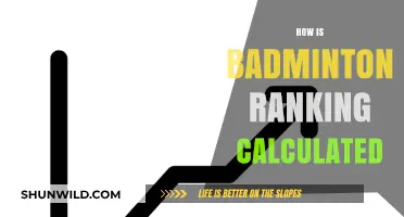 Badminton World Rankings: How Are They Calculated?