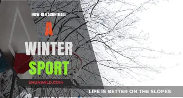 Basketball's Winter Sport Status Explained