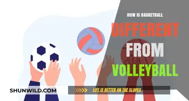 Basketball vs. Volleyball: A Contrast in Court Sports