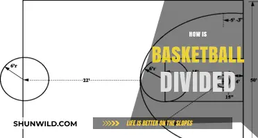 Basketball Divisions: Understanding the Game's Structure