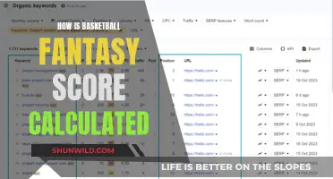 Unraveling the Mystery: How Basketball Fantasy Points are Determined