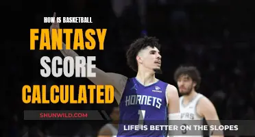 Fantasy Basketball Scoring: Calculating Your Player's Performance