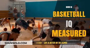 Basketball IQ: What Makes a Player Smart?