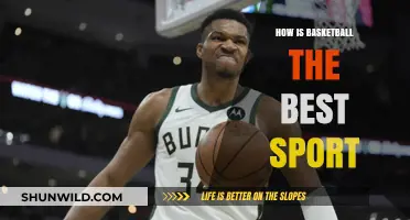 Basketball: The Ultimate Sport