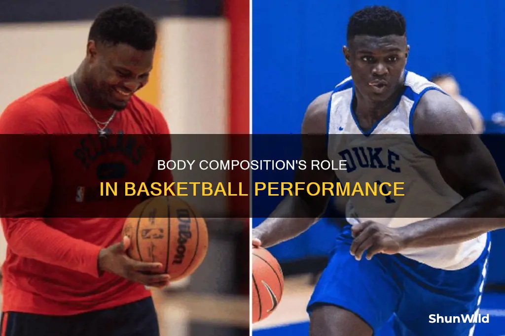 how is body composition used in basketball