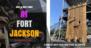 Fort Jackson Boot Camp: Challenges, Camaraderie, and Life-Changing Experiences