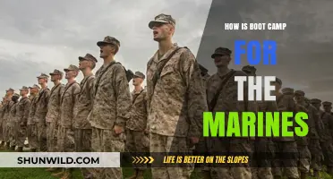 Marine Boot Camp: Rigorous Training, Discipline, and Transformation Explained