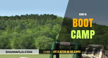 Boot Camp Unveiled: Challenges, Growth, and Life-Changing Experiences Explored