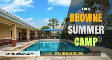 Browne Summer Camp: Fun, Learning, and Adventure for Kids