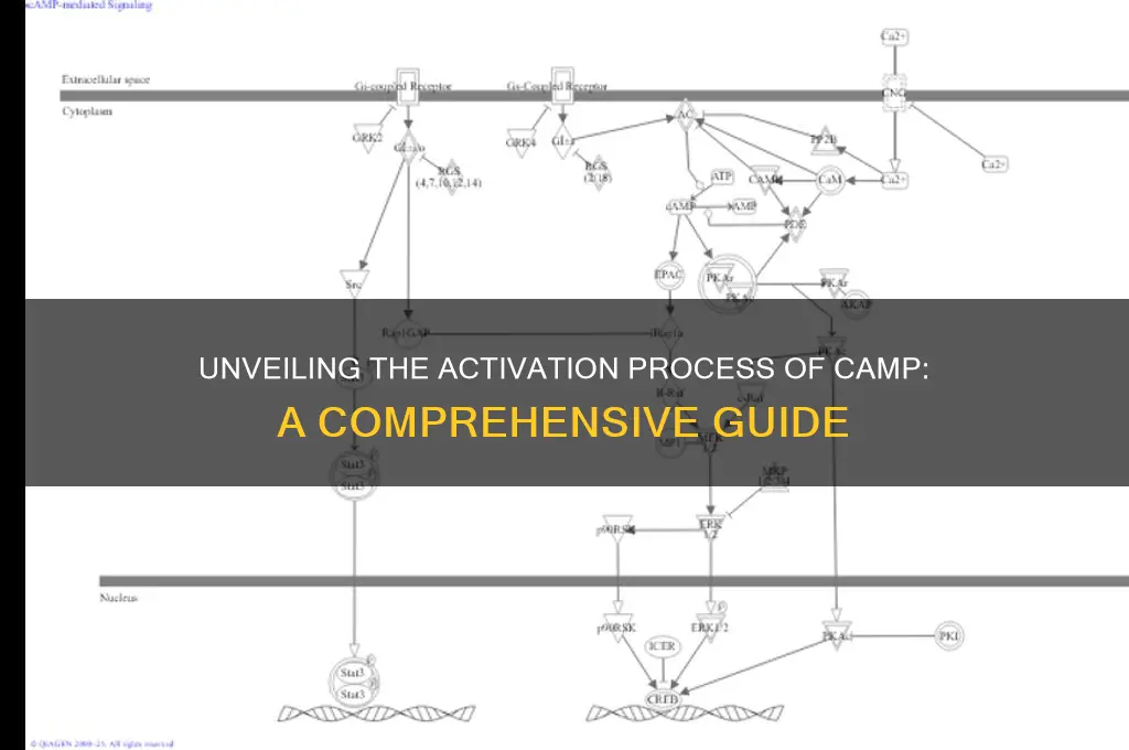how is camp activated