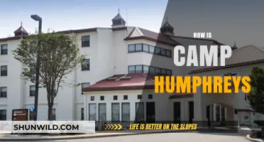 Exploring Camp Humphreys: Life, Facilities, and Community Insights