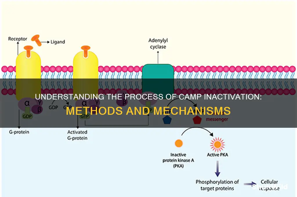 how is camp inactivated