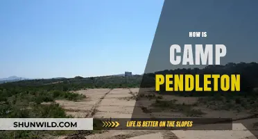 Exploring Camp Pendleton: Life, Training, and Community at the Base