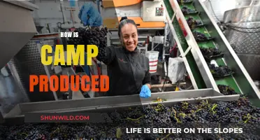 Behind the Scenes: The Creative Process of Producing Camp