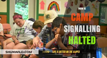 Halting Camp Signalling: Effective Strategies to Disrupt Communication Networks