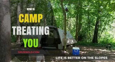 Camp Life: Adventures, Challenges, and Unforgettable Memories So Far