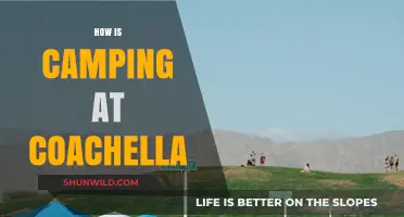 Camping at Coachella: Tips, Tricks, and What to Expect