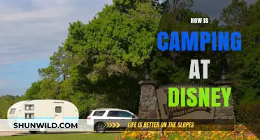 Camping at Disney: A Magical Outdoor Adventure Experience