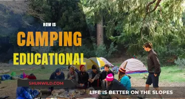 Camping: An Outdoor Classroom for Life Skills and Nature Learning