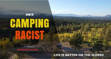 Camping's Racial Divide: Unpacking Exclusion and Access in Outdoor Spaces