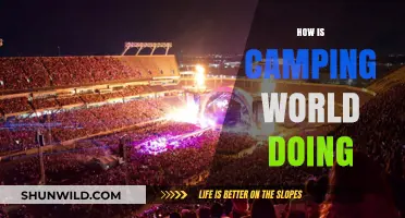 Camping World's Performance: Growth, Challenges, and Future Prospects