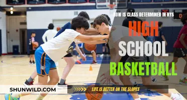 Classification Criteria for New York State High School Basketball