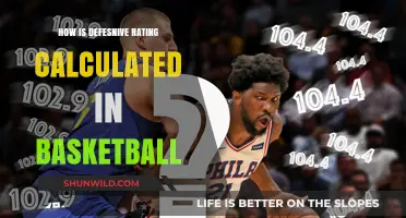 Defensive Rating: Calculating Basketball's Best Defenders