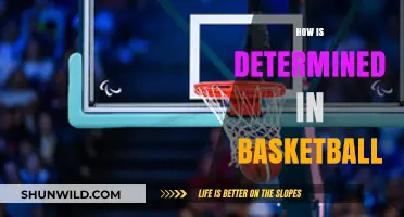 Determining Basketball's Most Valuable Player: What Factors Decide?