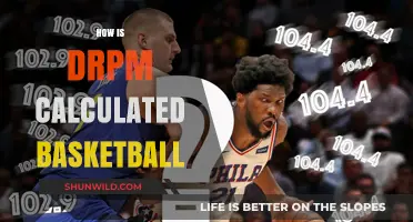 Understanding Basketball Performance: Calculating DRPM