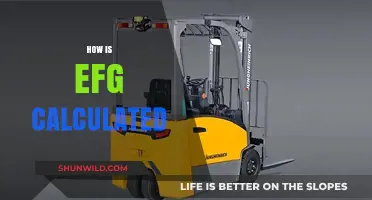 Easy EFG Calculation: A Simple Guide