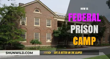 Life Inside Federal Prison Camps: What to Expect and How to Cope