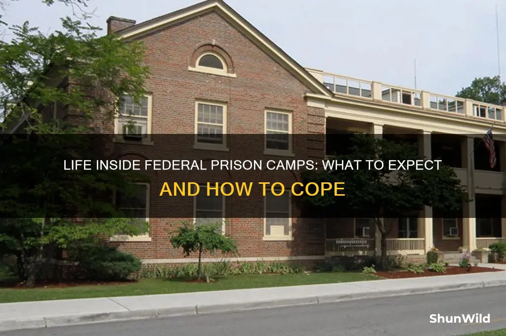 how is federal prison camp