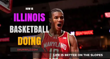Illinois Basketball: Current State and Future Prospects