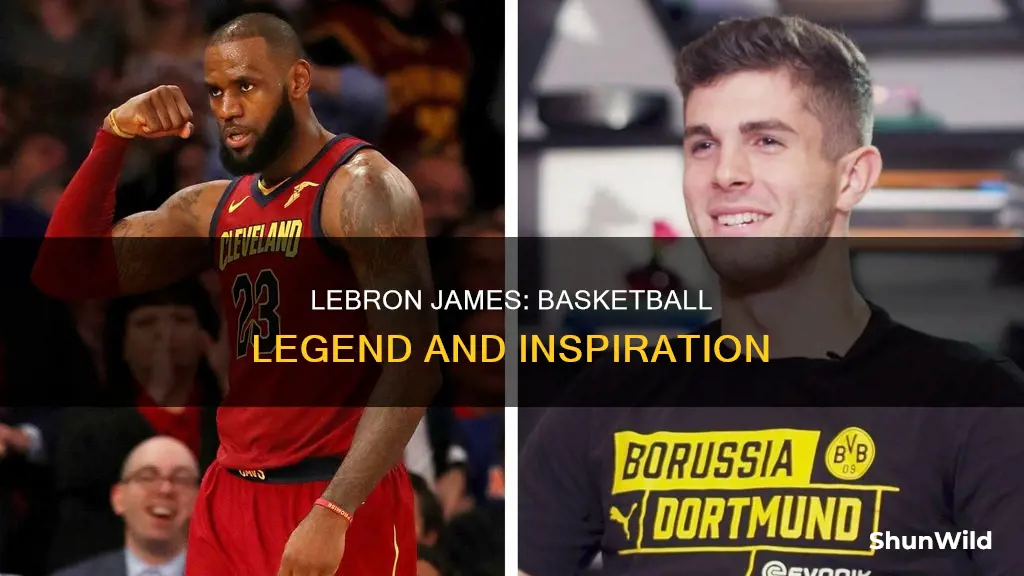 how is lebron james a instire for basketball