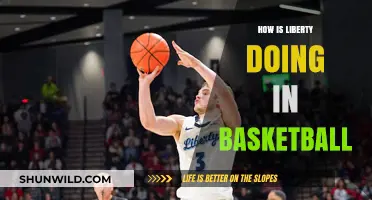 Liberty Basketball: Current State and Future Prospects